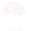 RSIS Logo