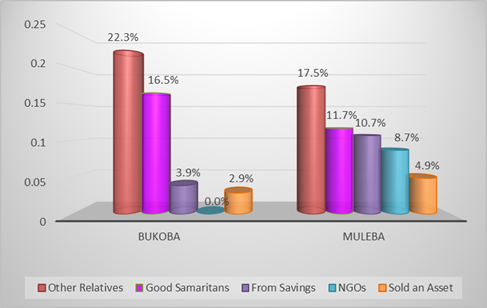 Figure 4: Disaggregation of the Source of Money in the CHHs to Cover Health Services Expenses by District (n=103)