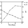 Surfactant production by epiphytic bacteria, Lysinibacillus sphaericus BiBi1 and Proteus mirabilis strain BiBi8 and their potential for hydrocarbon degradation